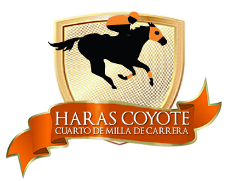 Haras Coyote